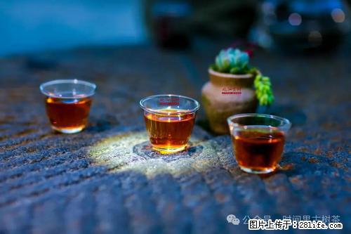 时间果百年古树2025年春红茶 - 购物交流 - 宁波生活社区 - 宁波28生活网 nb.28life.com