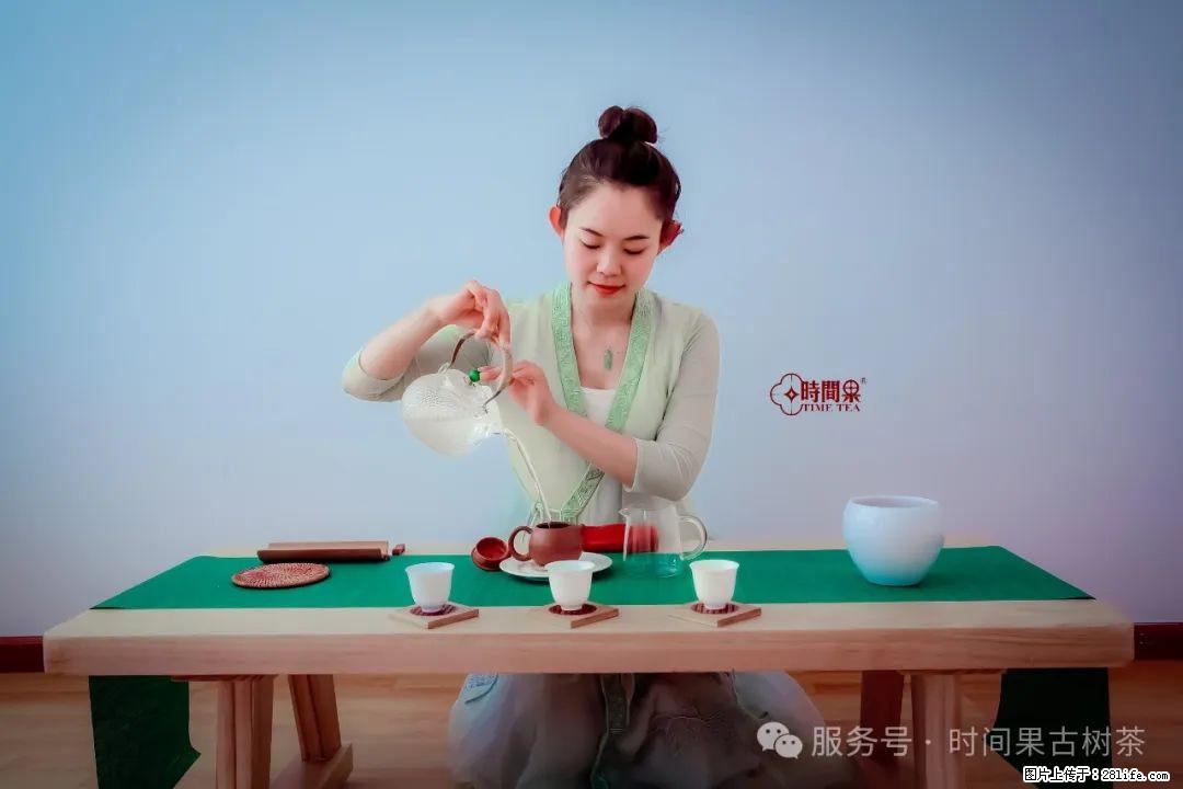 时间果百年古树龙珠普洱生茶 - 购物交流 - 宁波生活社区 - 宁波28生活网 nb.28life.com