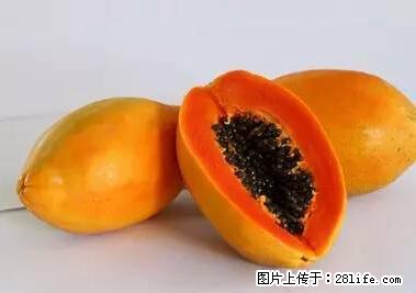 晕车、脚气、牙齿变黄、皮肤粗糙?学会这些三分钟搞定! - 宁波生活资讯 - 宁波28生活网 nb.28life.com