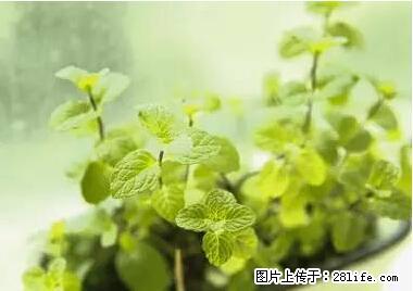 晕车、脚气、牙齿变黄、皮肤粗糙?学会这些三分钟搞定! - 宁波生活资讯 - 宁波28生活网 nb.28life.com