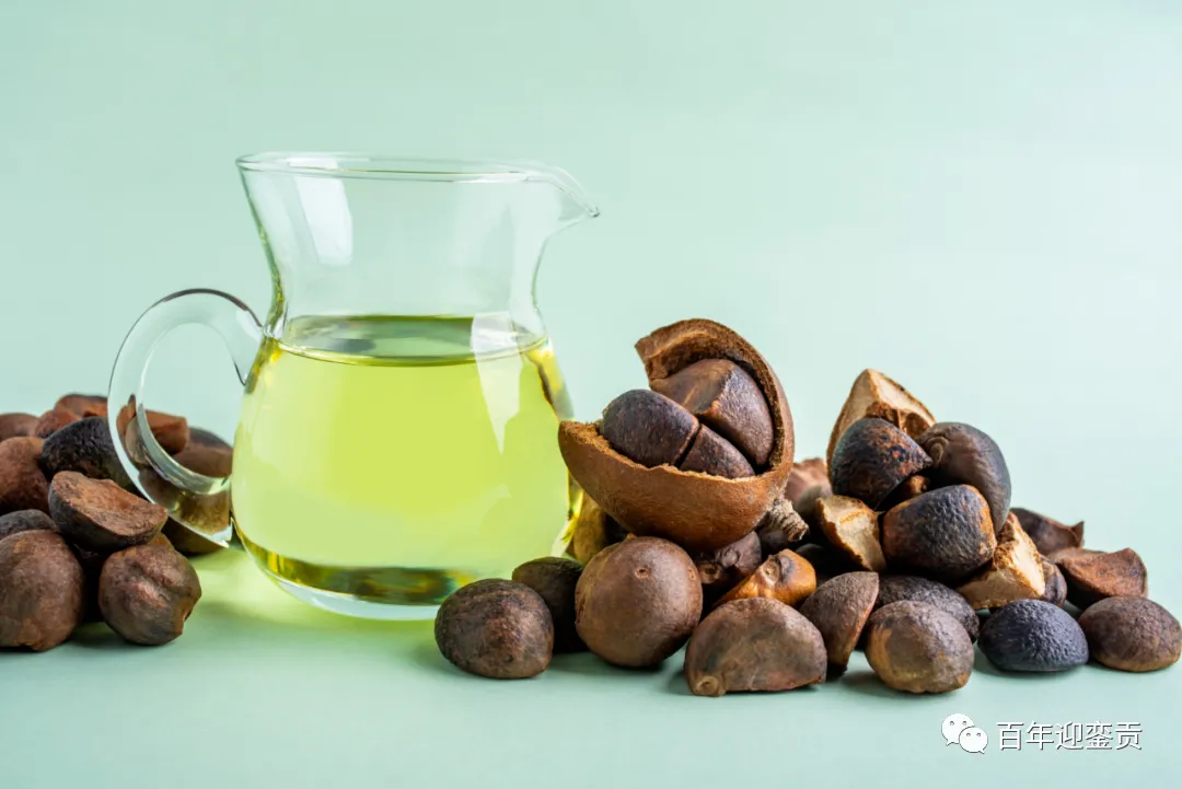 世界没有真相,只有认知,最好的食用油是中国的山茶油! - 宁波生活资讯 - 宁波28生活网 nb.28life.com