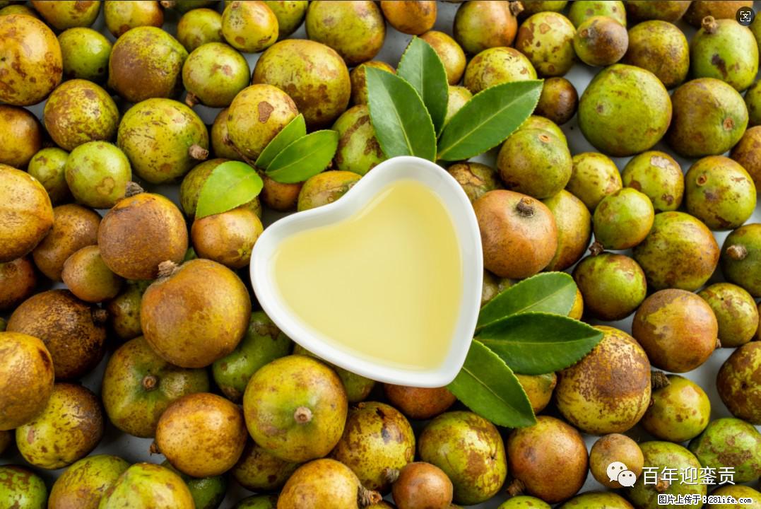 世界没有真相,只有认知,最好的食用油是中国的山茶油! - 宁波生活资讯 - 宁波28生活网 nb.28life.com