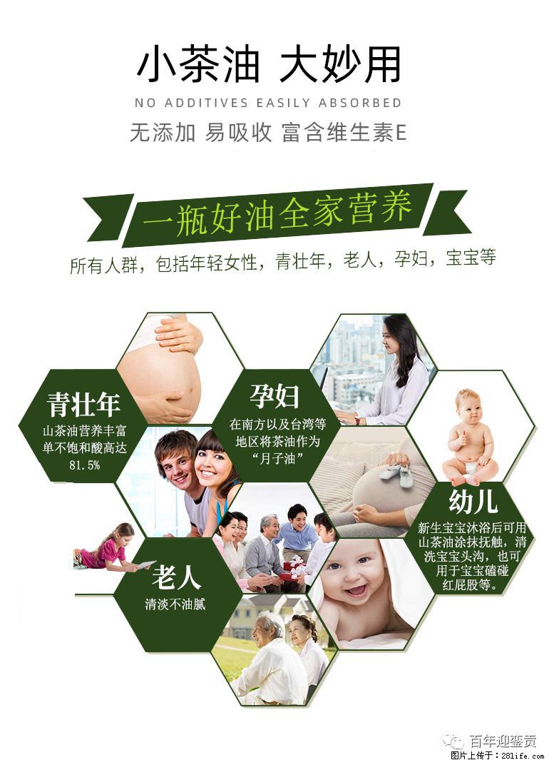 世界没有真相,只有认知,最好的食用油是中国的山茶油! - 宁波生活资讯 - 宁波28生活网 nb.28life.com