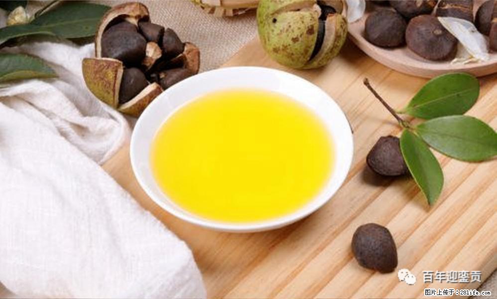 世界没有真相,只有认知,最好的食用油是中国的山茶油! - 宁波生活资讯 - 宁波28生活网 nb.28life.com