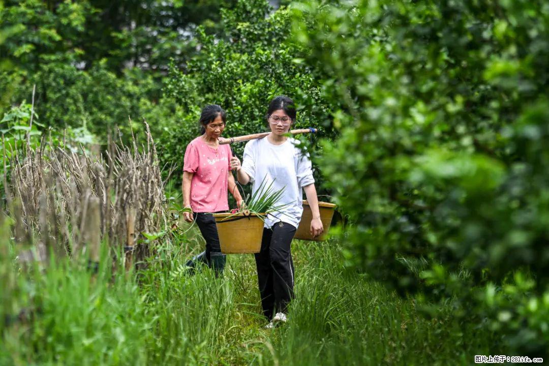 全网追的“扁担女孩”,找了一份暑假工,时薪12元 - 宁波生活资讯 - 宁波28生活网 nb.28life.com