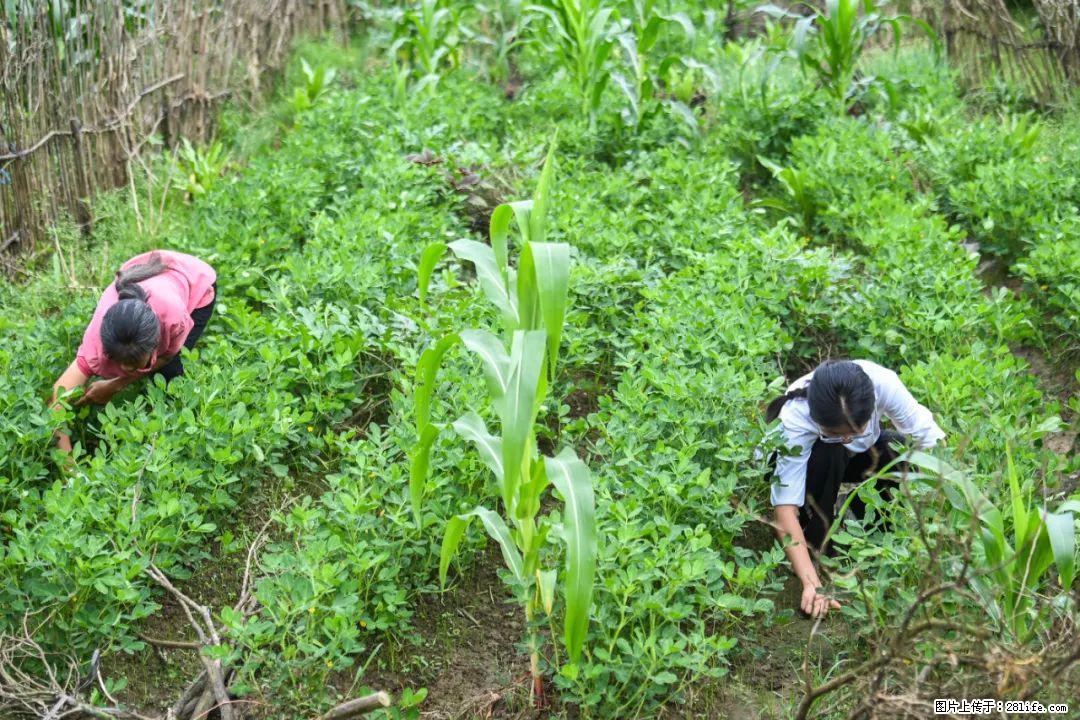 全网追的“扁担女孩”,找了一份暑假工,时薪12元 - 宁波生活资讯 - 宁波28生活网 nb.28life.com