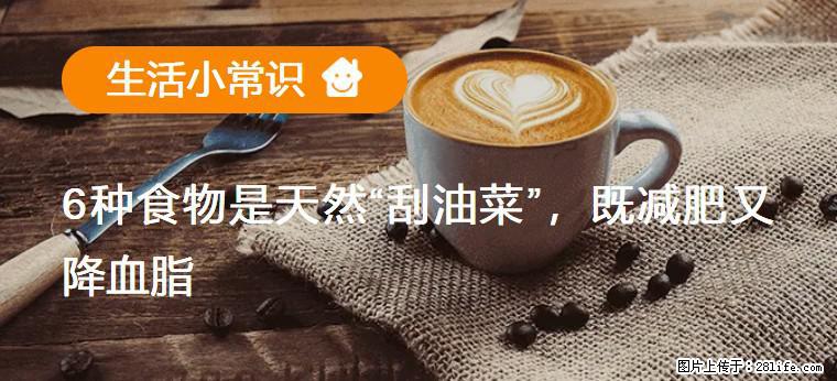 【生活小常识】6种食物是天然“刮油菜”，既减肥又降血脂 - 宁波生活资讯 - 宁波28生活网 nb.28life.com