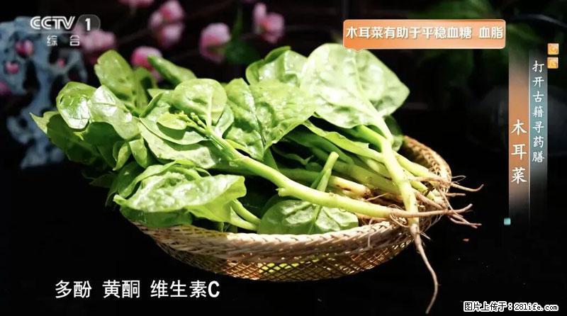 比牛奶补钙还厉害!凉血解毒、稳血糖...这菜冬天必吃,很多人却当草 - 宁波生活资讯 - 宁波28生活网 nb.28life.com