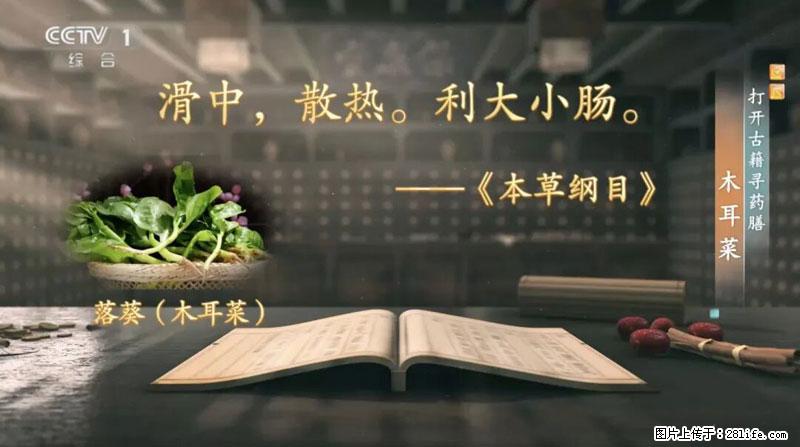 比牛奶补钙还厉害!凉血解毒、稳血糖...这菜冬天必吃,很多人却当草 - 宁波生活资讯 - 宁波28生活网 nb.28life.com